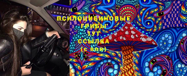 эйфоретик Беломорск