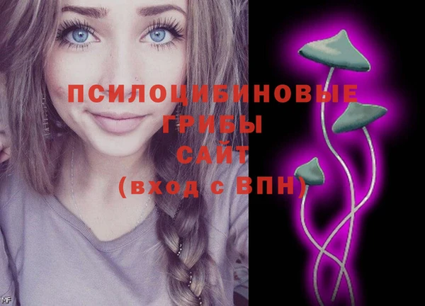 spice Осташков