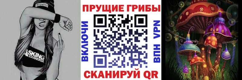 Псилоцибиновые грибы Psilocybe  сколько стоит  Калуга 