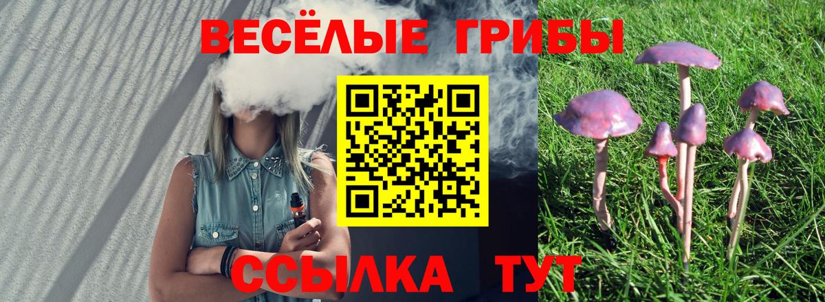 Псилоцибиновые грибы Cubensis Калуга